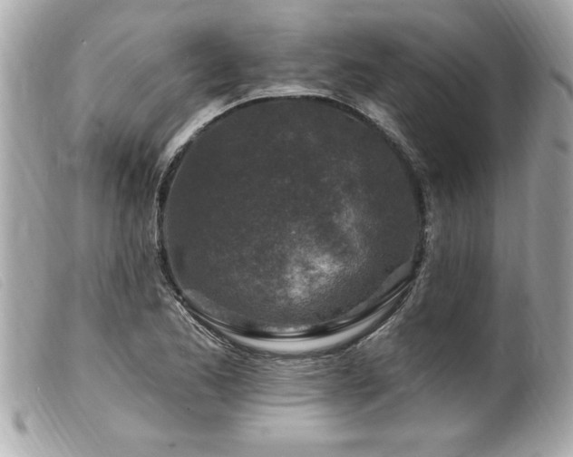 X0000100211173200805301319