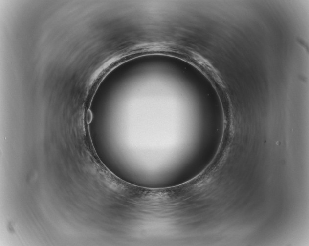 X0000100211174200805301319