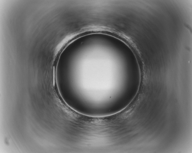 X0000100211175200805301319