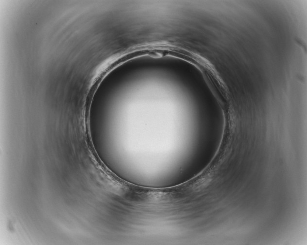 X0000100211176200805301319
