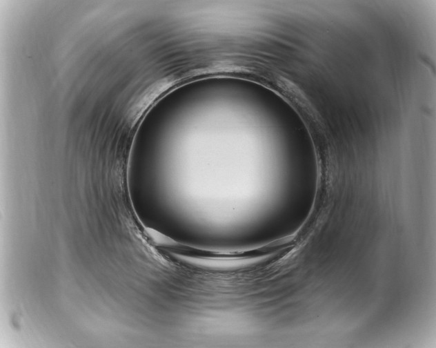 X0000100211177200805301319