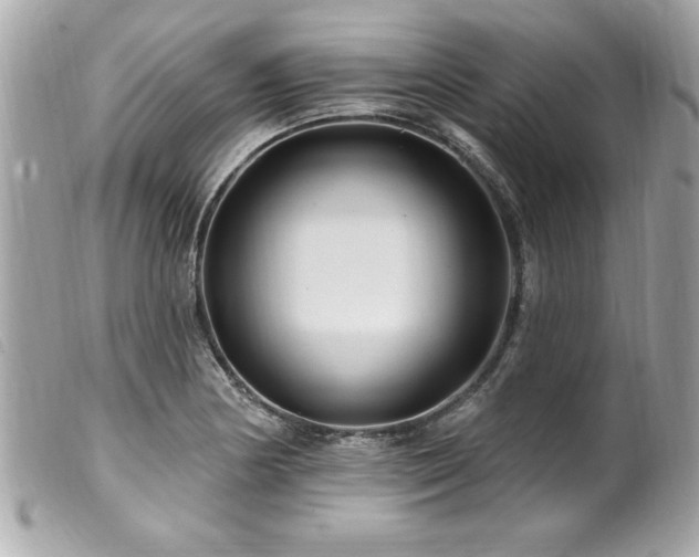 X0000100211178200805301319