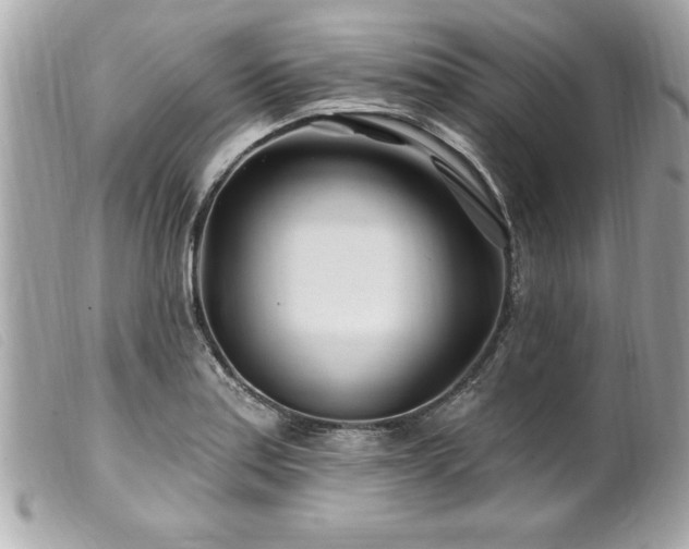 X0000100211179200805301319