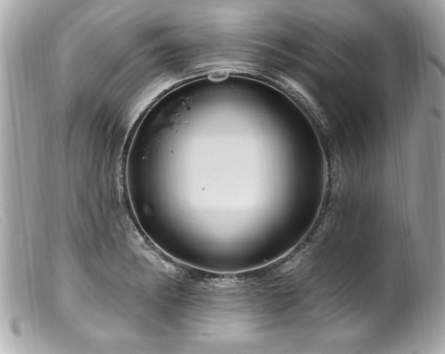 X0000100211182200805301319