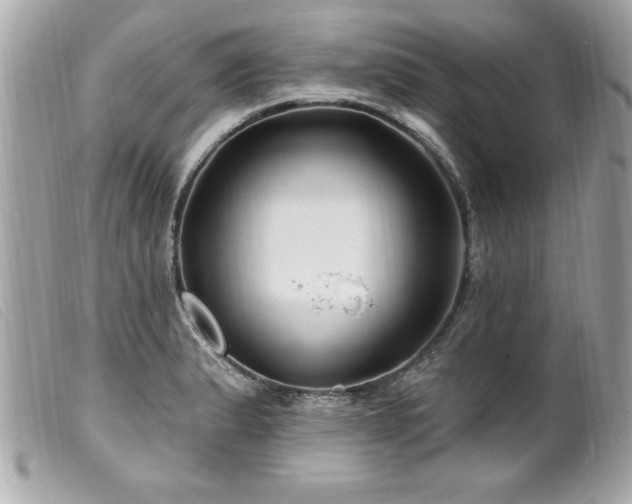 X0000100211183200805301319