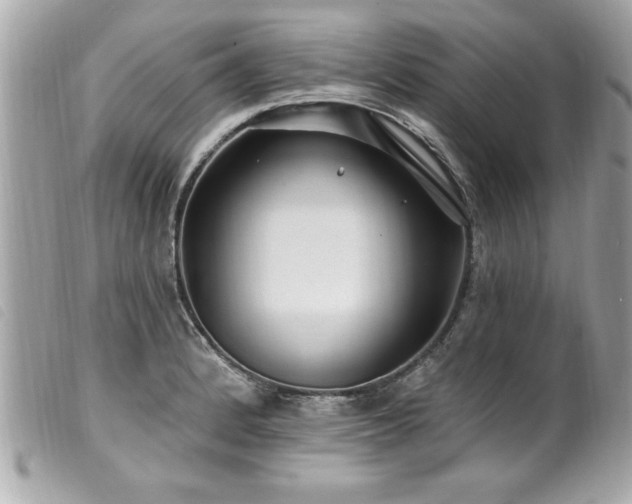 X0000100211184200805301319
