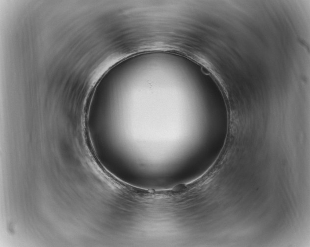 X0000100211187200805301319