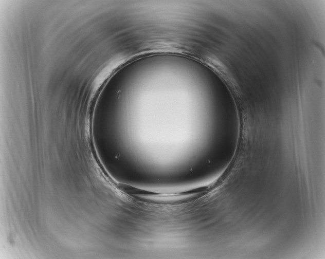 X0000100211188200805301319