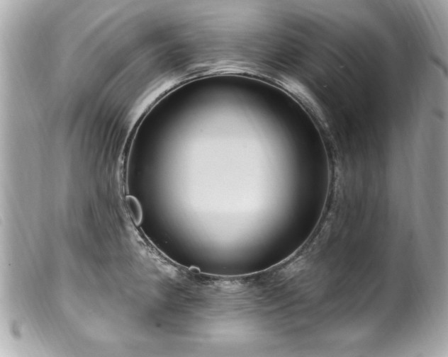 X0000100211190200805301319