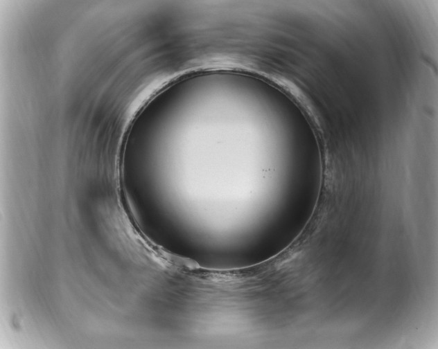 X0000100211191200805301319