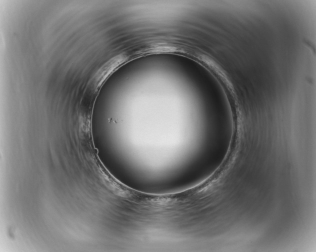 X0000100211193200805301319