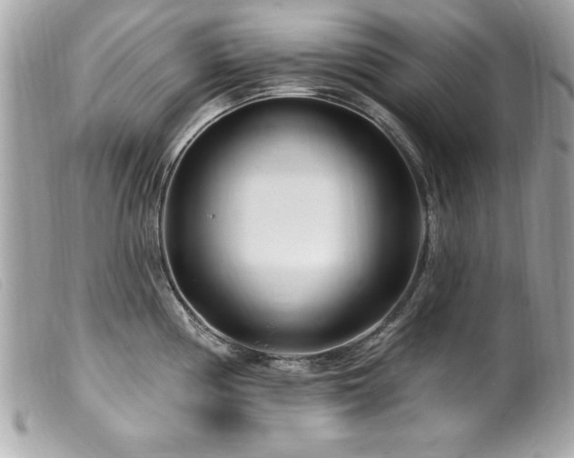 X0000100211194200805301319