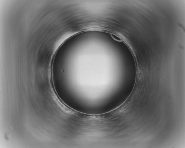 X0000100211195200805301319