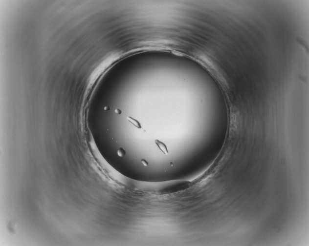X0000100211196200805301319