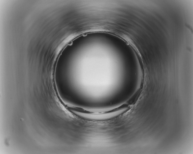X0000100211197200805301319