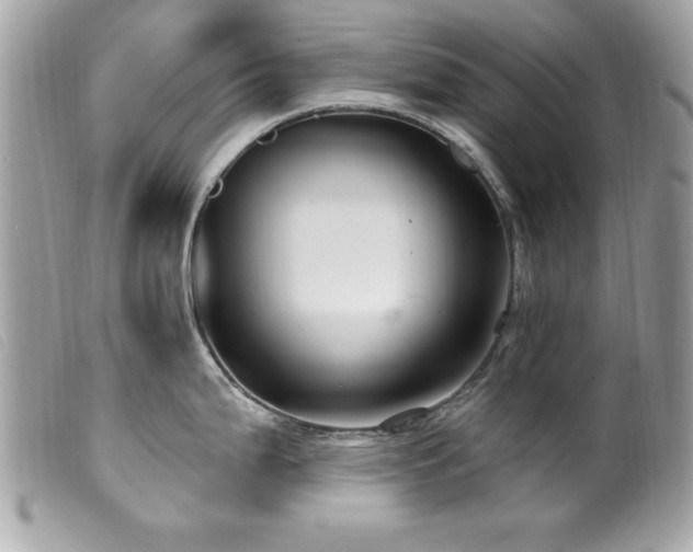 X0000100211199200805301319