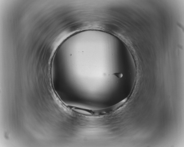 X0000100211200200805301319