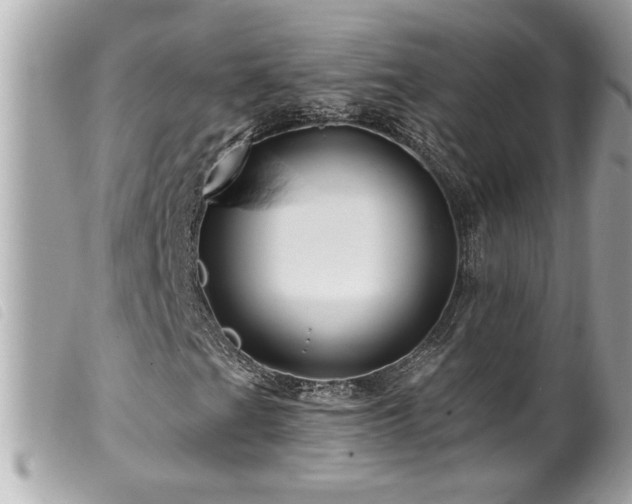 X0000100211201200805301318