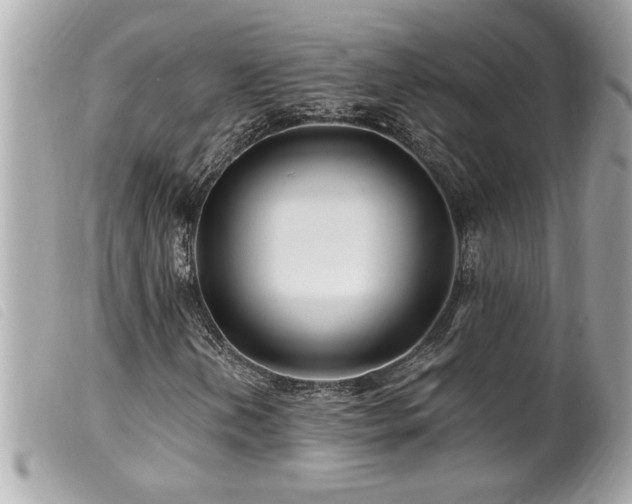 X0000100211202200805301318