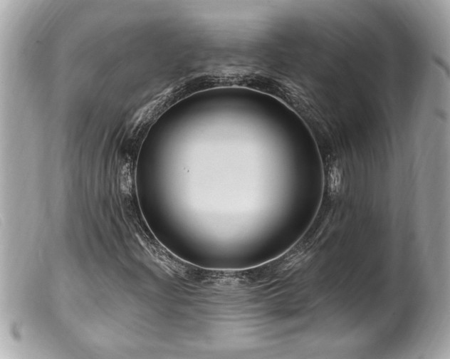 X0000100211204200805301318