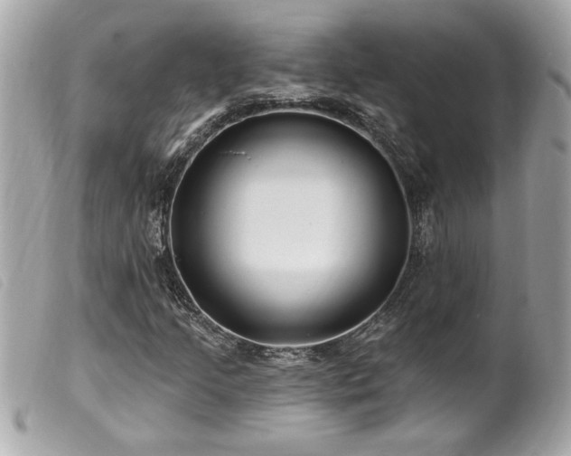 X0000100211205200805301318