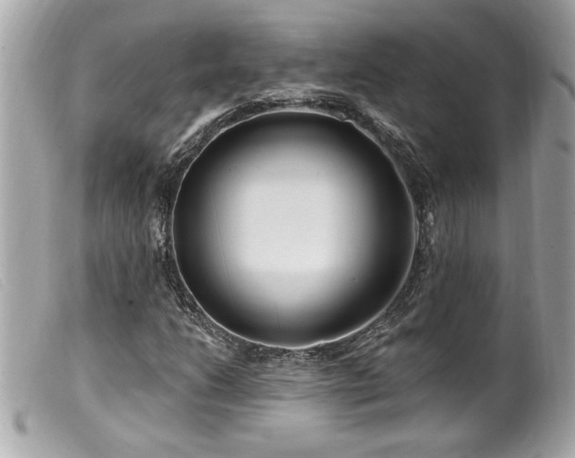 X0000100211206200805301318