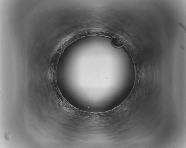 X0000100211207200805301318