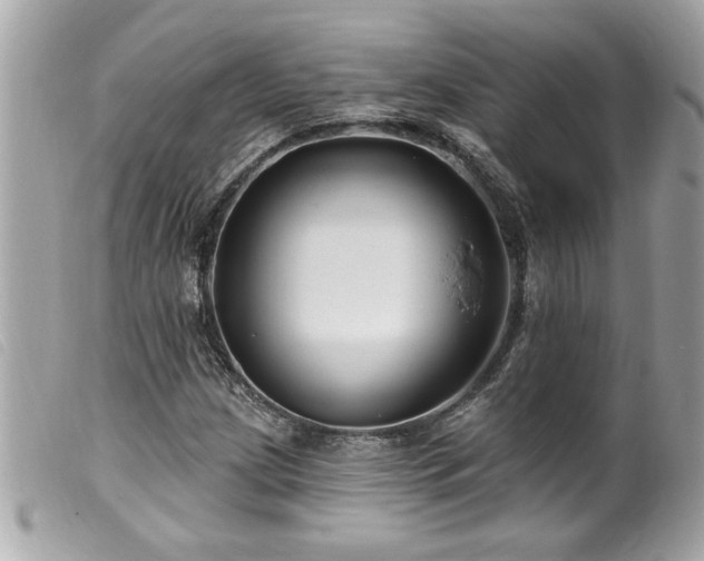 X0000100211209200805301318