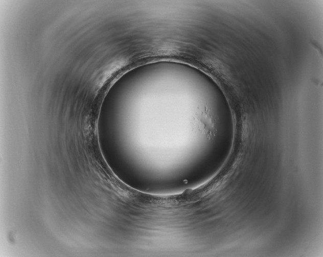 X0000100211210200805301318