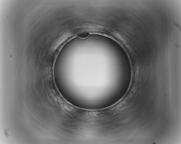 X0000100211211200805301318
