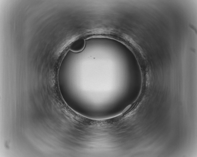 X0000100211213200805301319