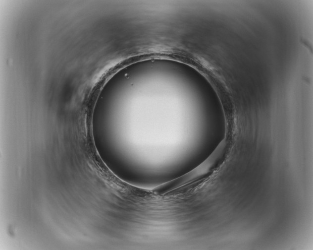 X0000100211214200805301319