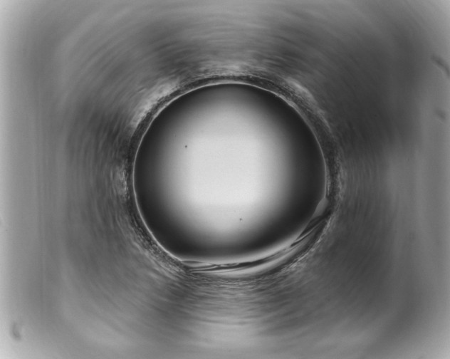 X0000100211218200805301319
