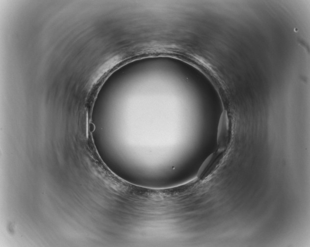 X0000100211219200805301319