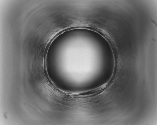 X0000100211220200805301319