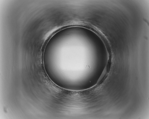 X0000100211222200805301319
