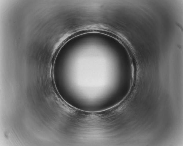X0000100211224200805301319