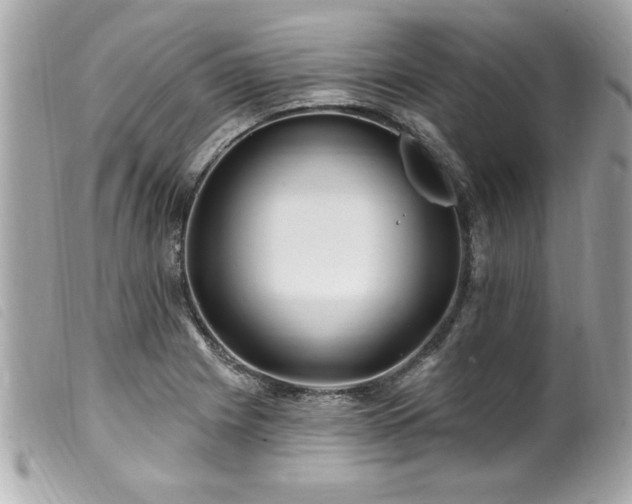 X0000100211225200805301319