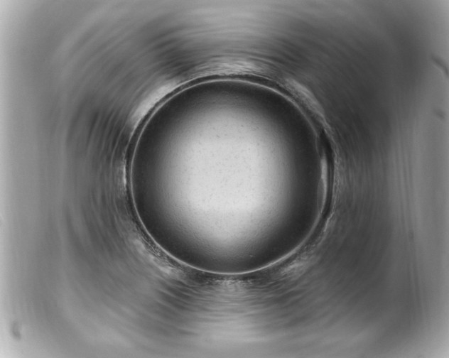 X0000100211226200805301319