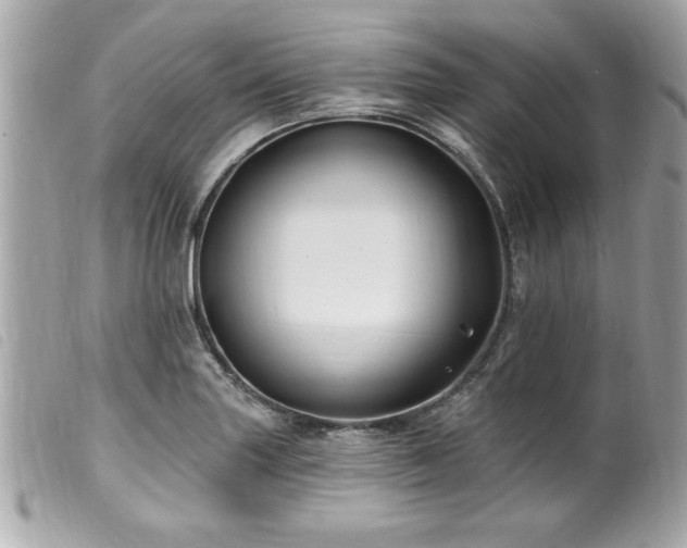 X0000100211227200805301319