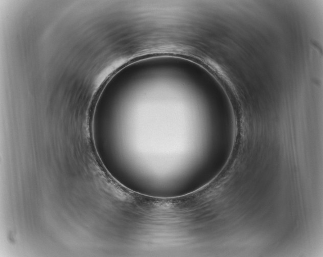 X0000100211230200805301319