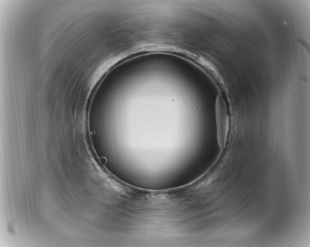 X0000100211231200805301319