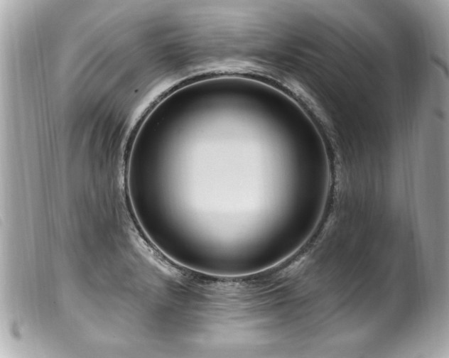 X0000100211232200805301319