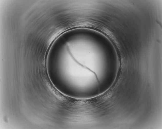 X0000100211234200805301319