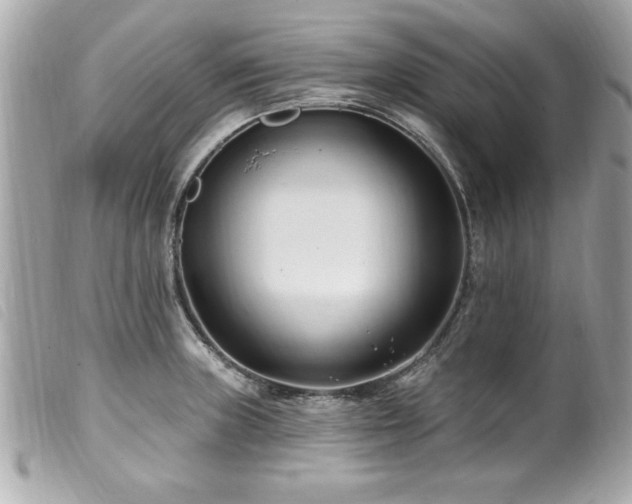 X0000100211235200805301319