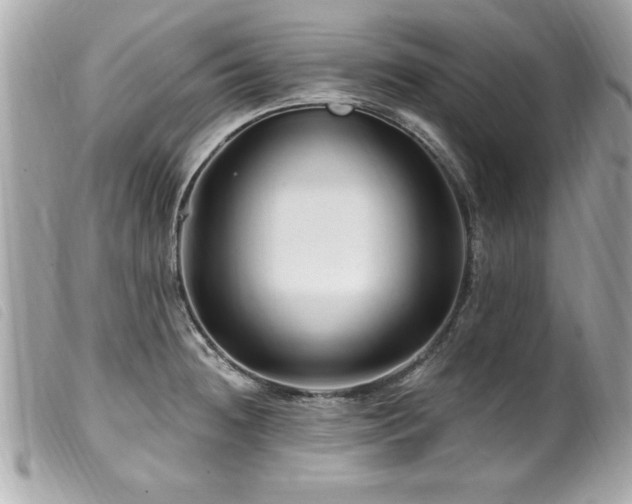X0000100211236200805301319
