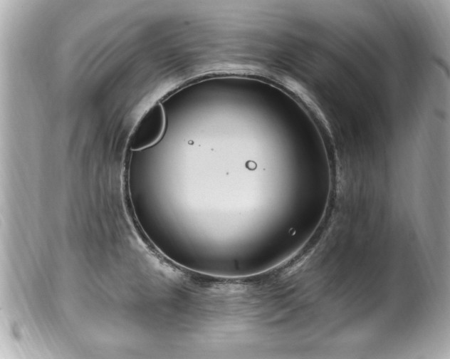 X0000100211237200805301319