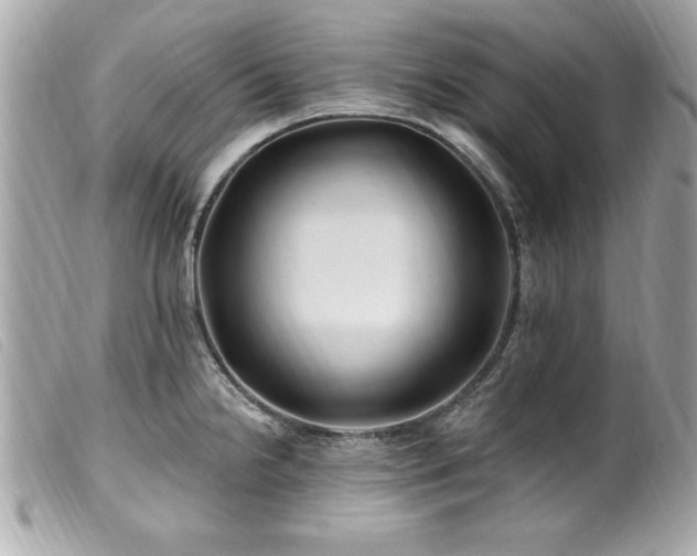 X0000100211238200805301319