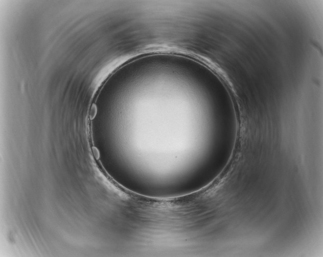 X0000100211239200805301319