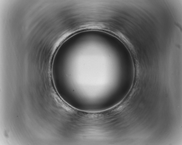 X0000100211240200805301319